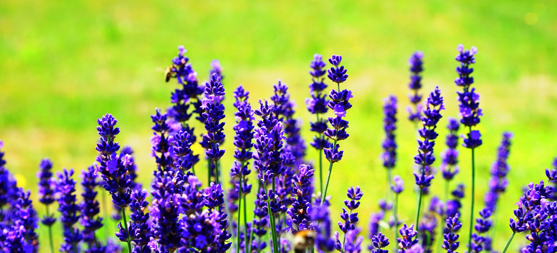 滕州市慧昌香料有限公司